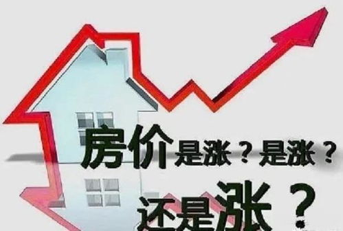 164萬傭金背后的房地產(chǎn)銷售模式分析 中介的角色與利益分配